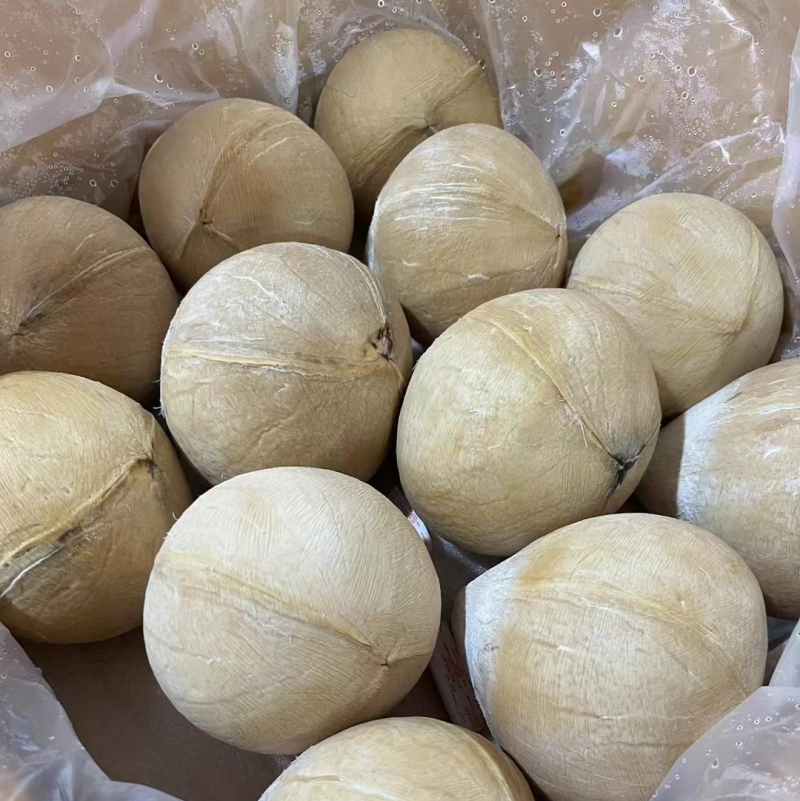 【泰国椰皇】椰黄椰子原产地直发可视频看货品质保证