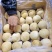 【泰国椰皇】椰黄椰子原产地直发可视频看货品质保证