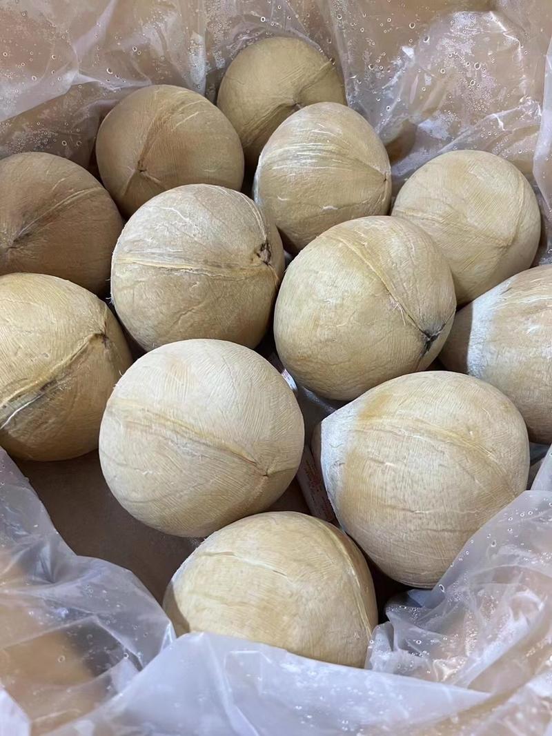 【泰国椰皇】椰黄椰子原产地直发可视频看货品质保证