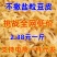 豆皮厂家直销批发，支持电商一件䒫发，大量有货
