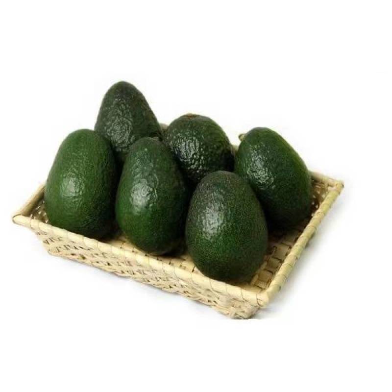 牛油果精品货一件代发批发价