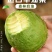 牛油果精品货一件代发批发价