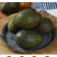 牛油果精品货一件代发批发价