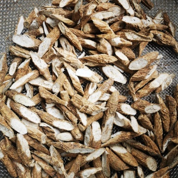 野生牛大力