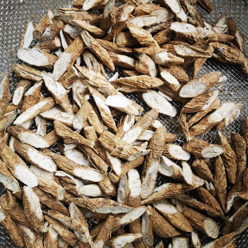 野生牛大力