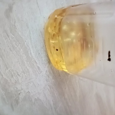 油茶