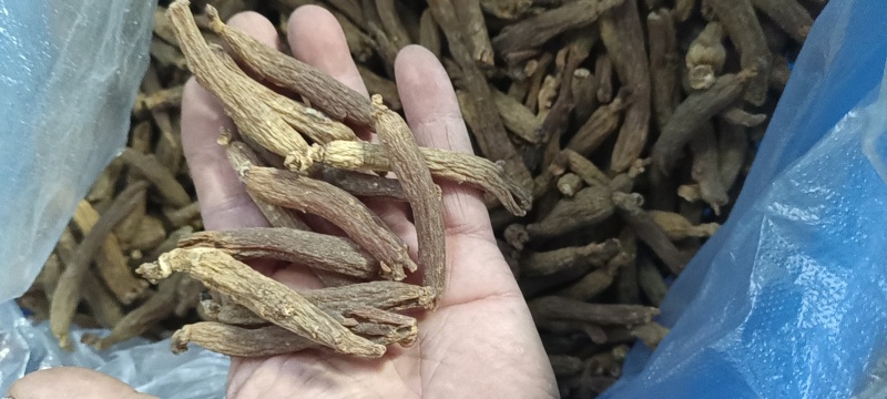 优质无糖红参纯干无硫长白山源头工厂包邮