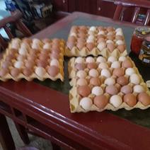精品土鸡蛋一件起售散养土鸡自家养殖常年供应