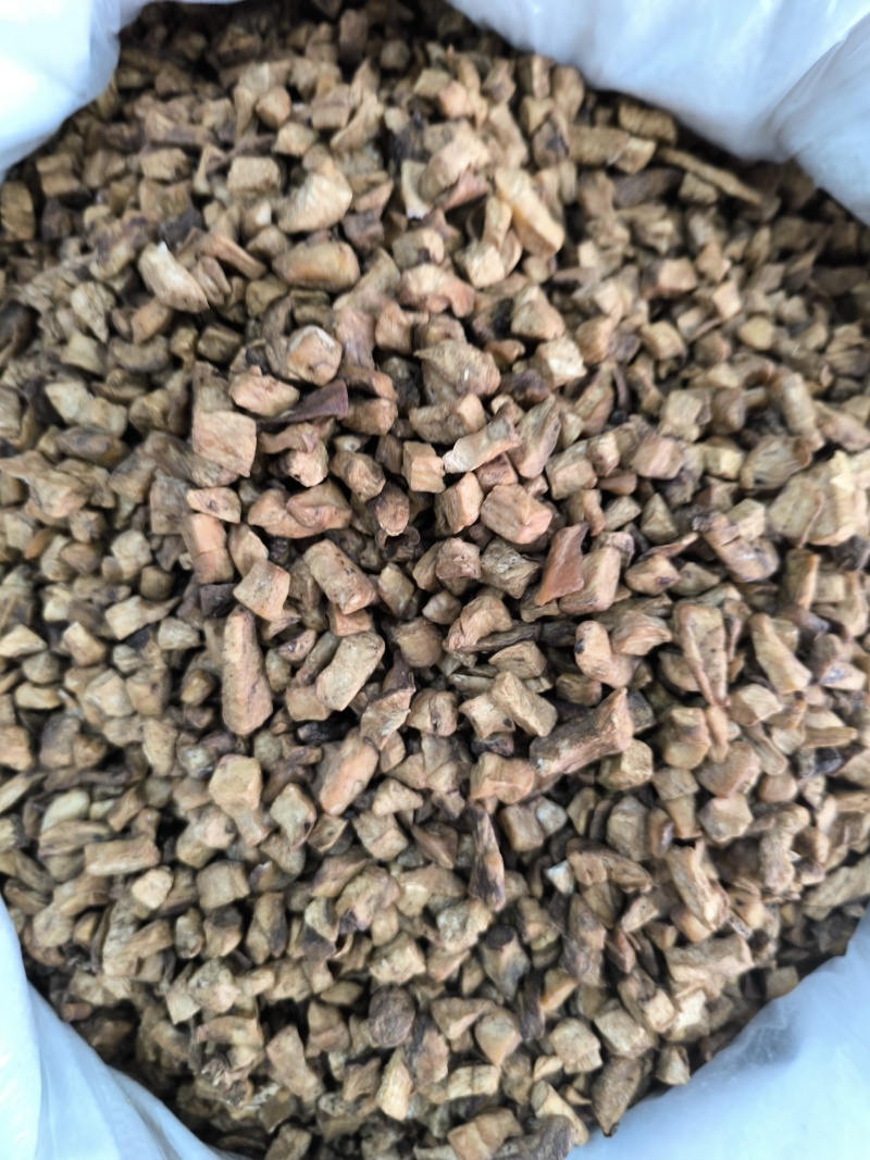菊苣根茶菊苣中药材菊苣根干货香味浓现货批发