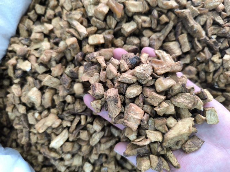 菊苣根茶菊苣中药材菊苣根干货香味浓现货批发