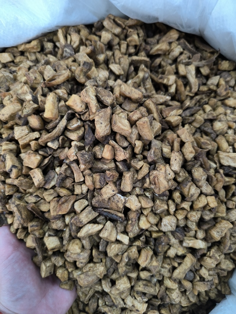 菊苣根茶菊苣中药材菊苣根干货香味浓现货批发