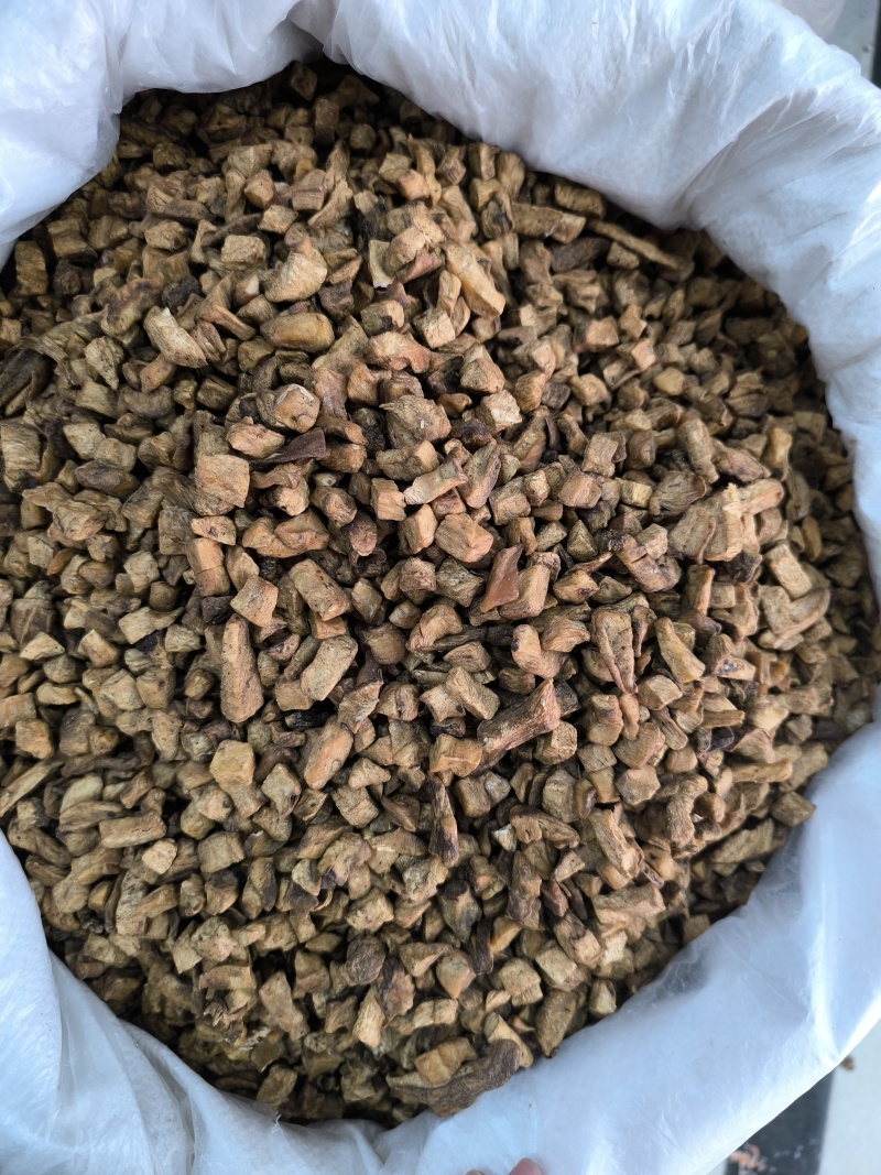 菊苣根茶菊苣中药材菊苣根干货香味浓现货批发