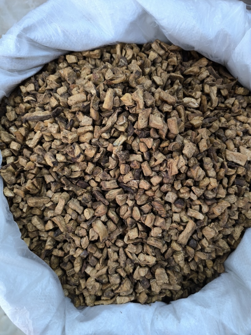 菊苣根茶菊苣中药材菊苣根干货香味浓现货批发