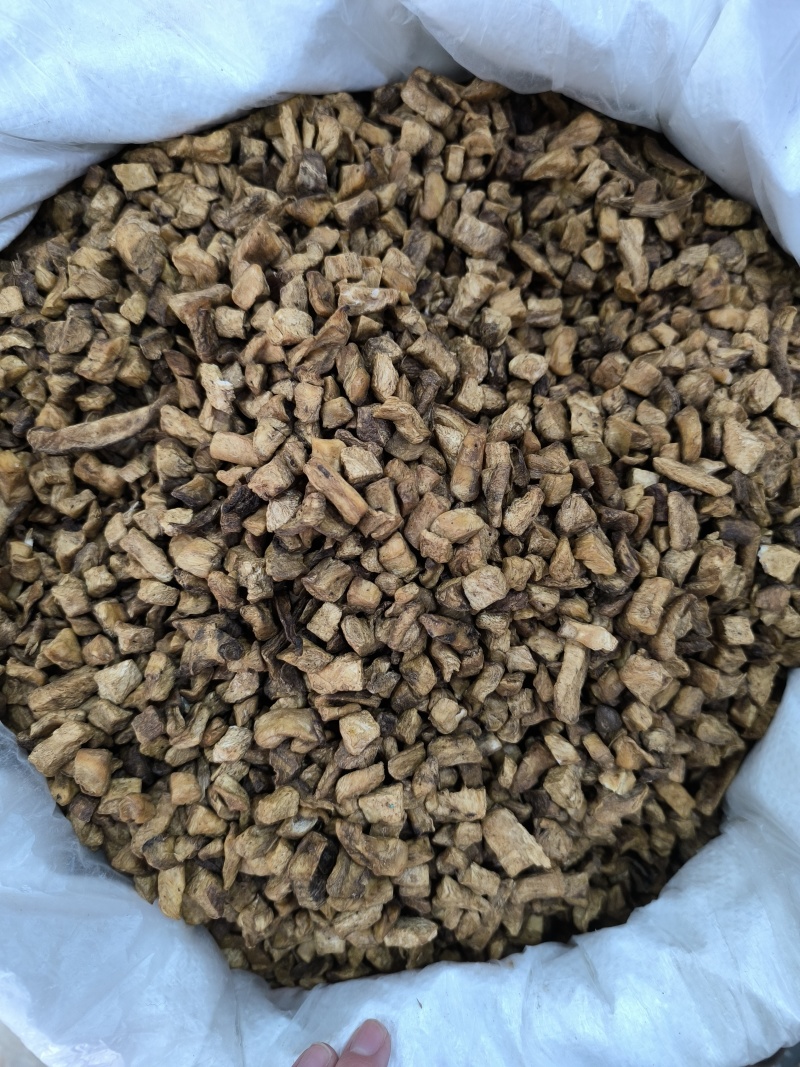 菊苣根茶菊苣中药材菊苣根干货香味浓现货批发