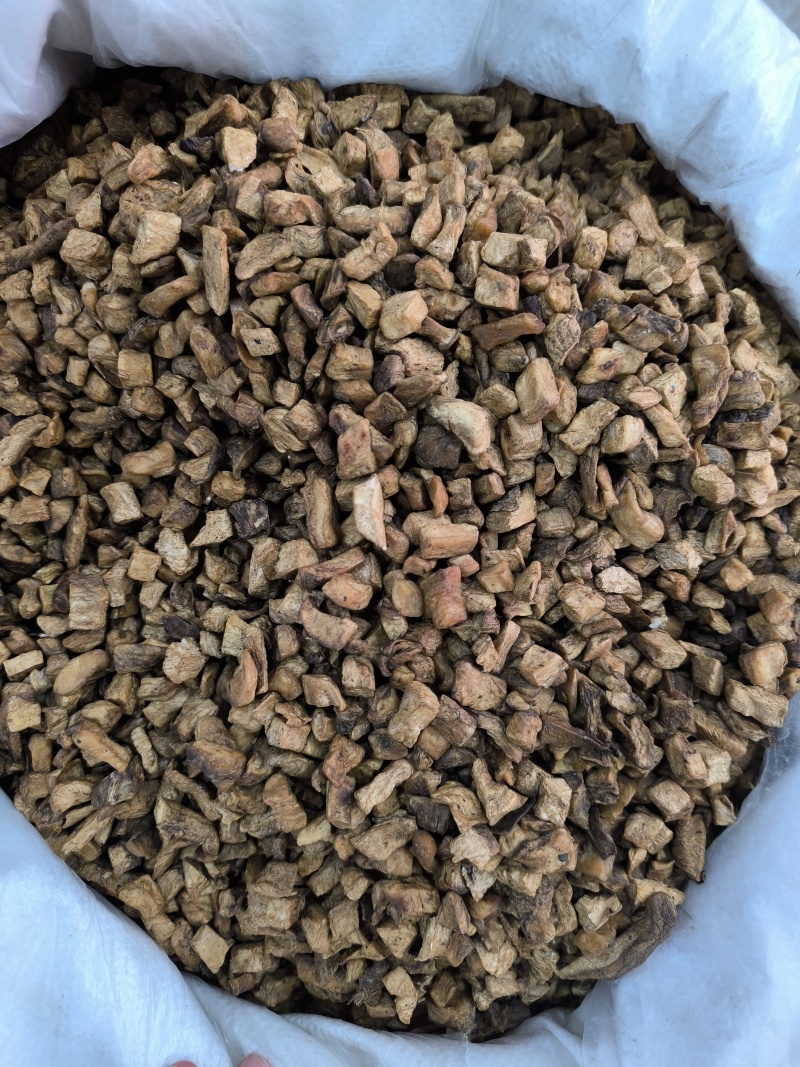 菊苣根茶菊苣中药材菊苣根干货香味浓现货批发