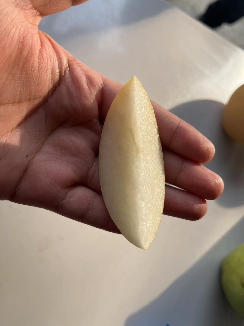 梨，玉露香梨基地货源可视频看货量大从优