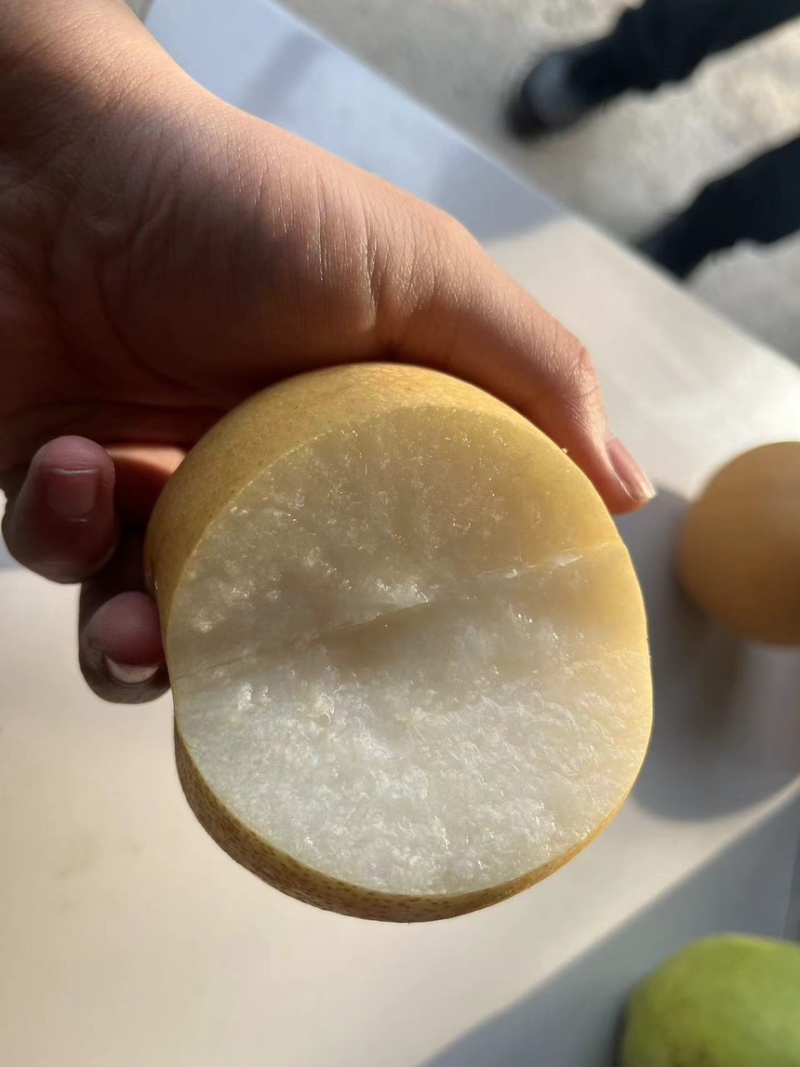 梨，玉露香梨基地货源可视频看货量大从优