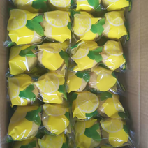 四川安岳柠檬产地直供品质欢迎来电咨询量大