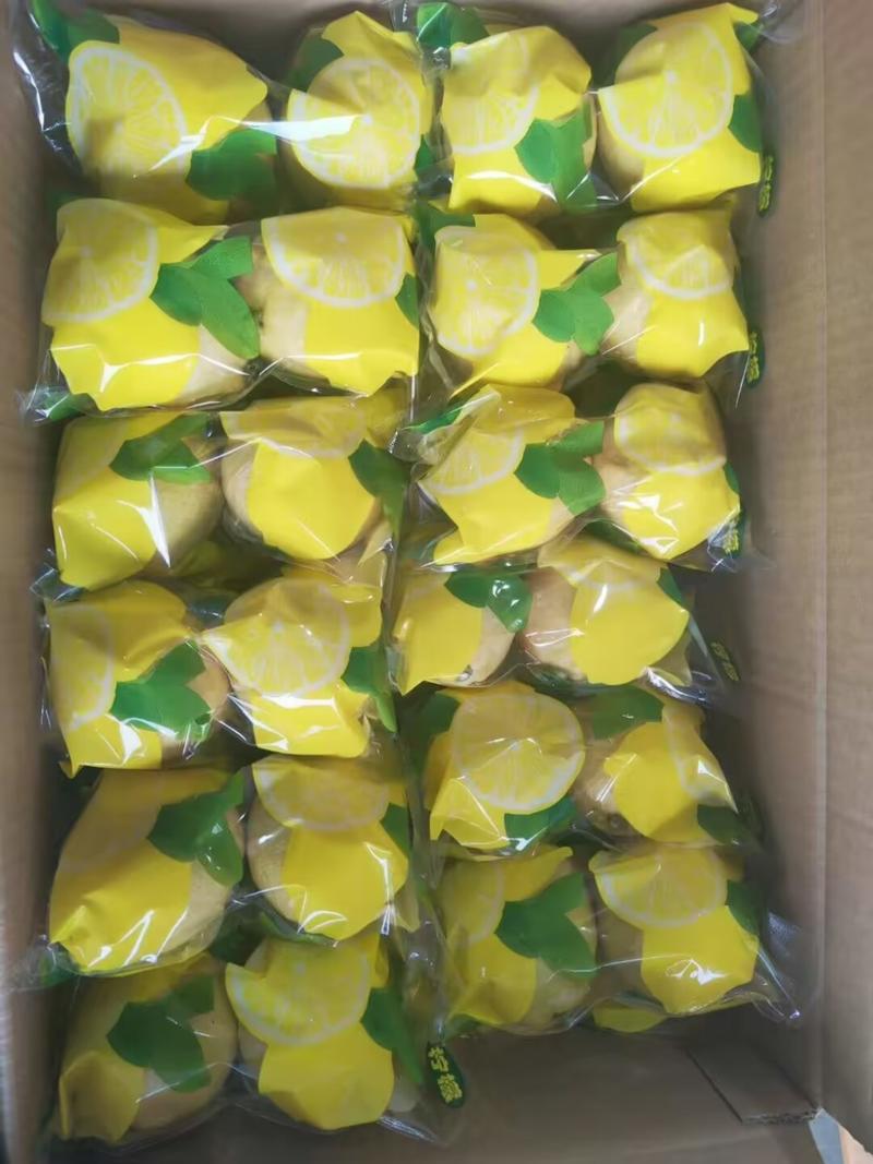 四川安岳柠檬产地直供品质保障欢迎来电咨询量大优惠