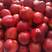 精品油桃126油桃货源充足量大从优对接全国欢迎咨询