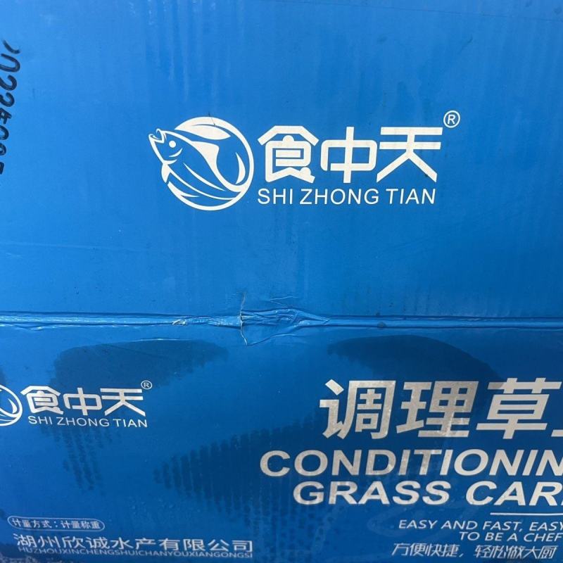 草鱼调味鱼活杀冷冻水产半成品商用食材整条开背鱼烤鱼江浙沪