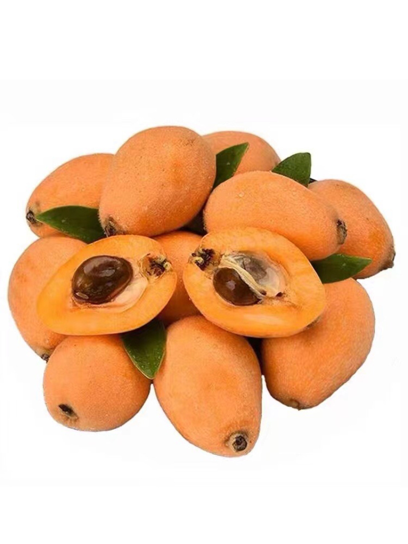莆田常太枇杷