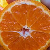 丑橘。黄果柑