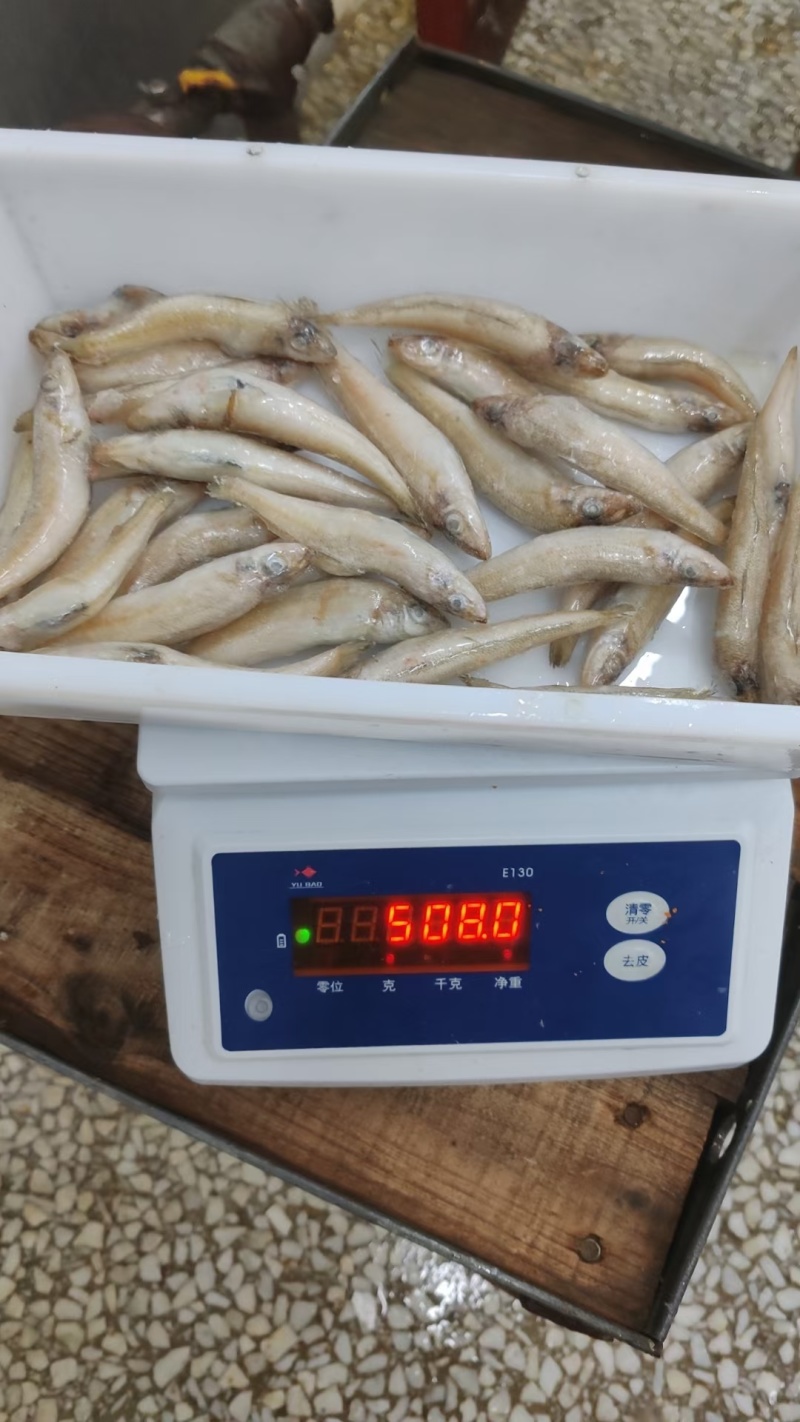 沙丁鱼，可以做罐头，可以小包装电商用