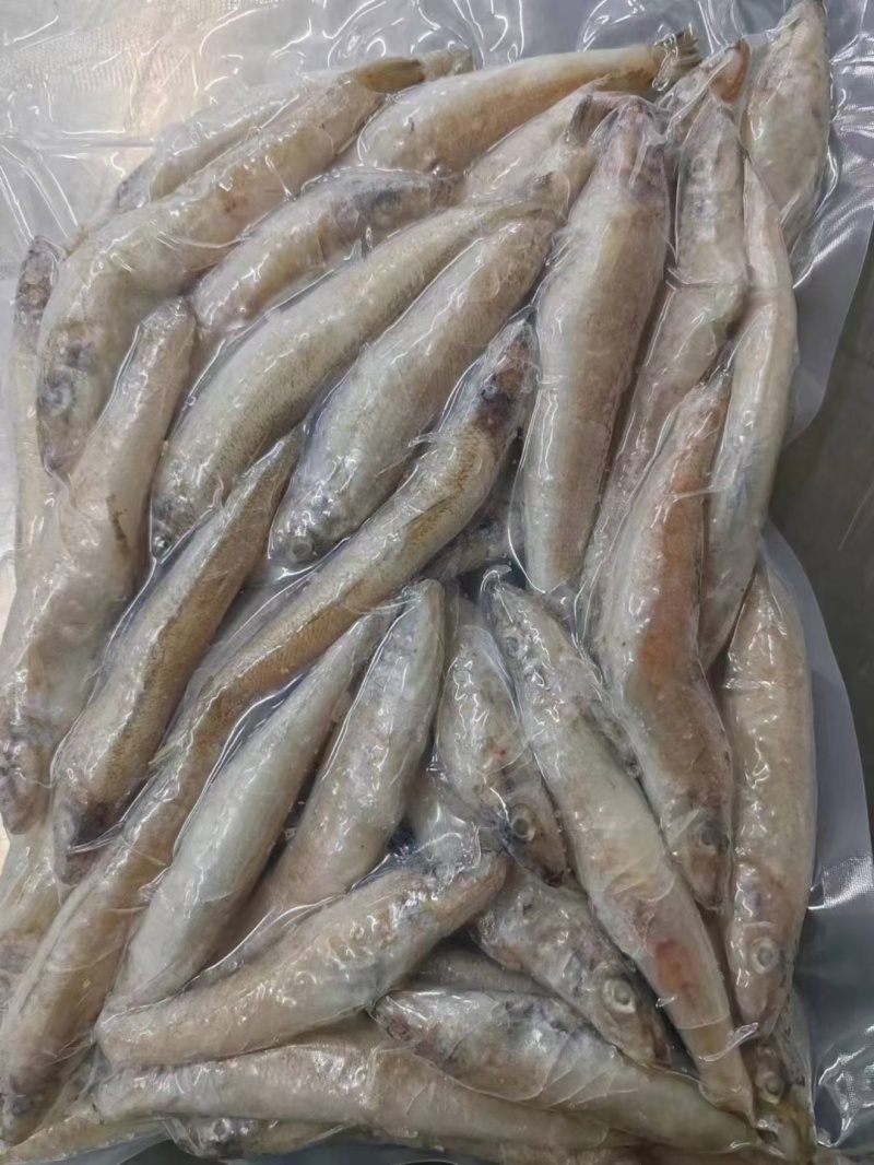 沙丁鱼，可以做罐头，可以小包装电商用
