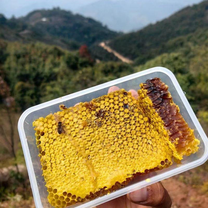 【无添加剂】云南土蜂蜜蜂蜜全国发货，基地直供，诚信经营