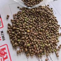 绿豆下料（每月1000吨左右）