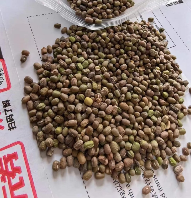 绿豆下料（每月1000吨左右）