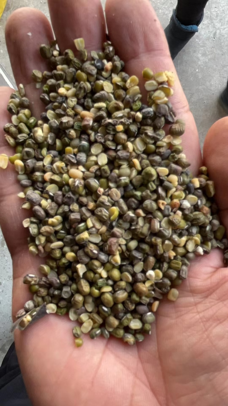 绿豆下料（每月1000吨左右）