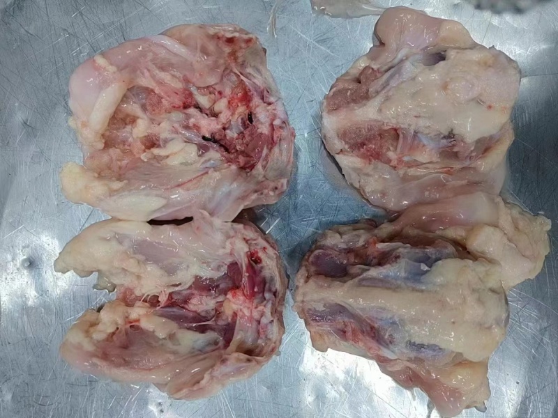 精品鸡架