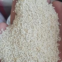 白小米批发五谷杂粮粗粮白色小米