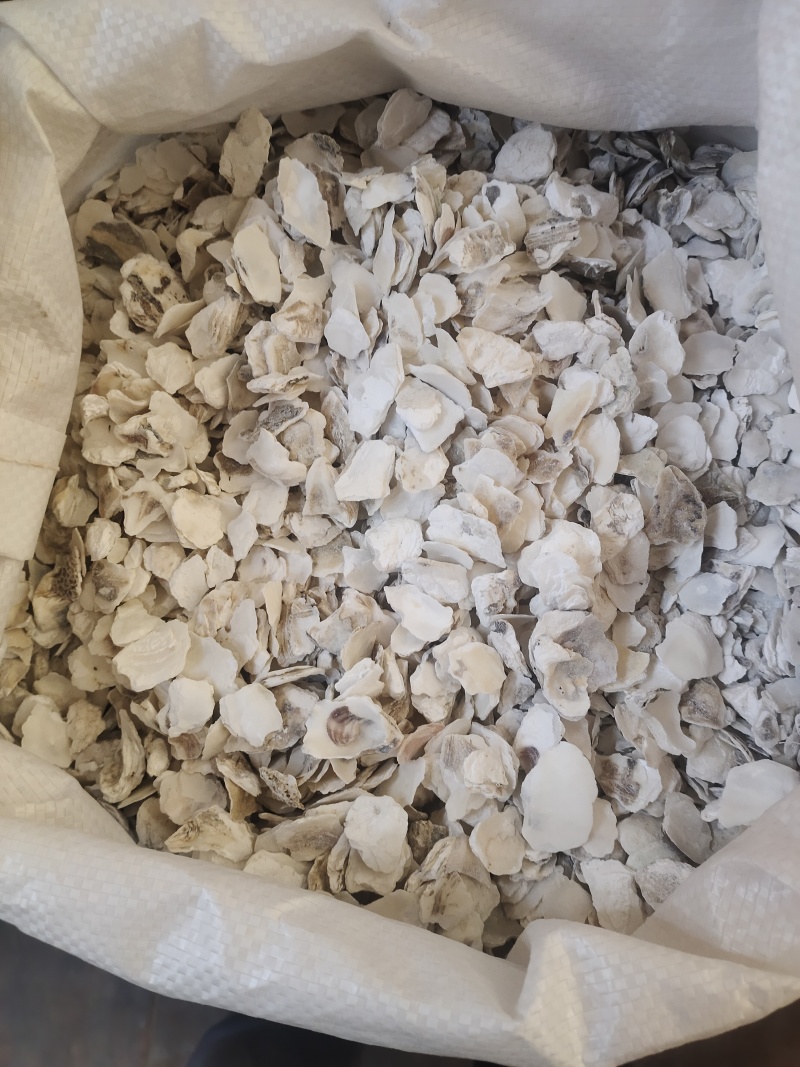中药材水洗干牡蛎