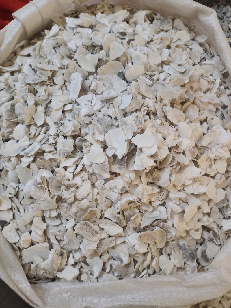 中药材水洗干牡蛎