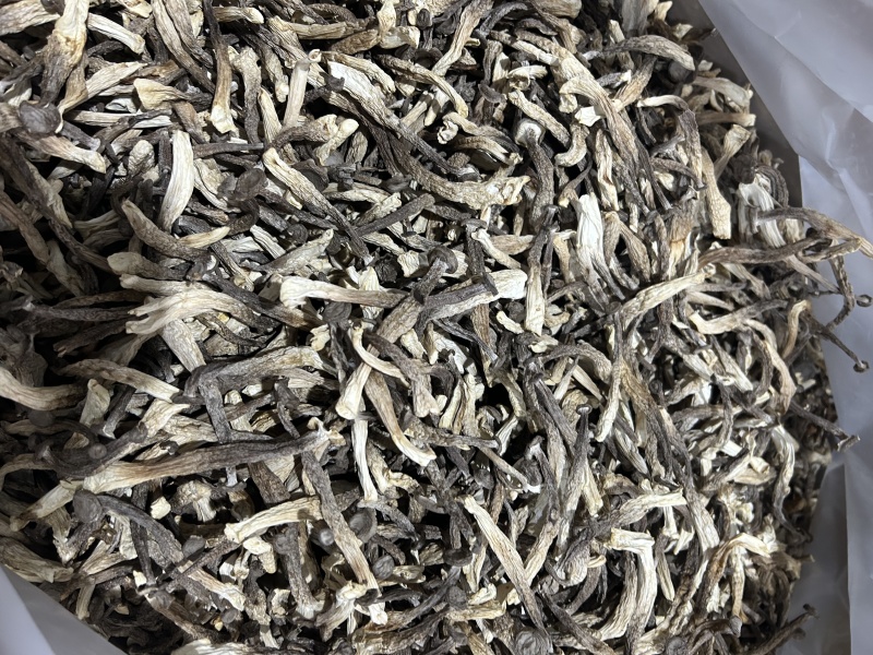 【鹿茸菇】贵州产地现货现发，价格实惠，质量有保障
