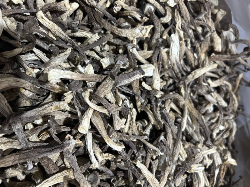 【鹿茸菇】贵州产地现货现发，价格实惠，质量有保障