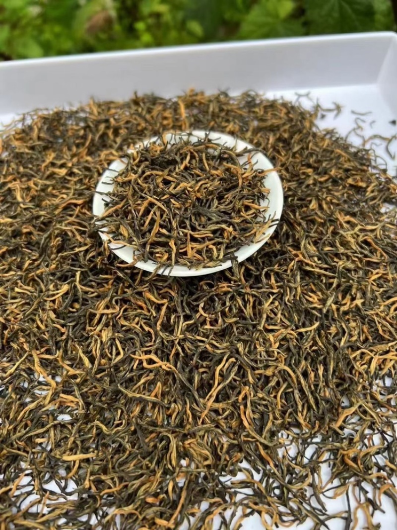 【礼盒装】武夷山红茶金骏眉蜜香型茶叶春茶小袋包装包邮