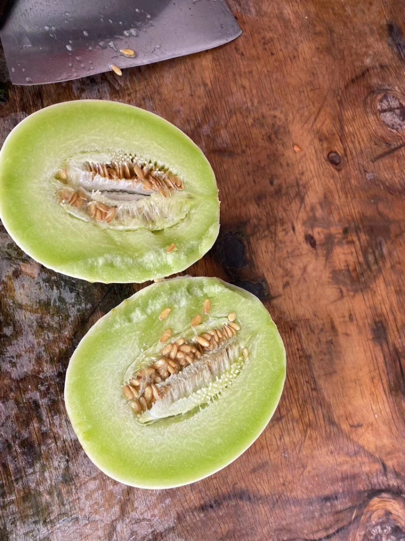 浙江台州玉菇甜瓜甜度高口感细腻产地直发