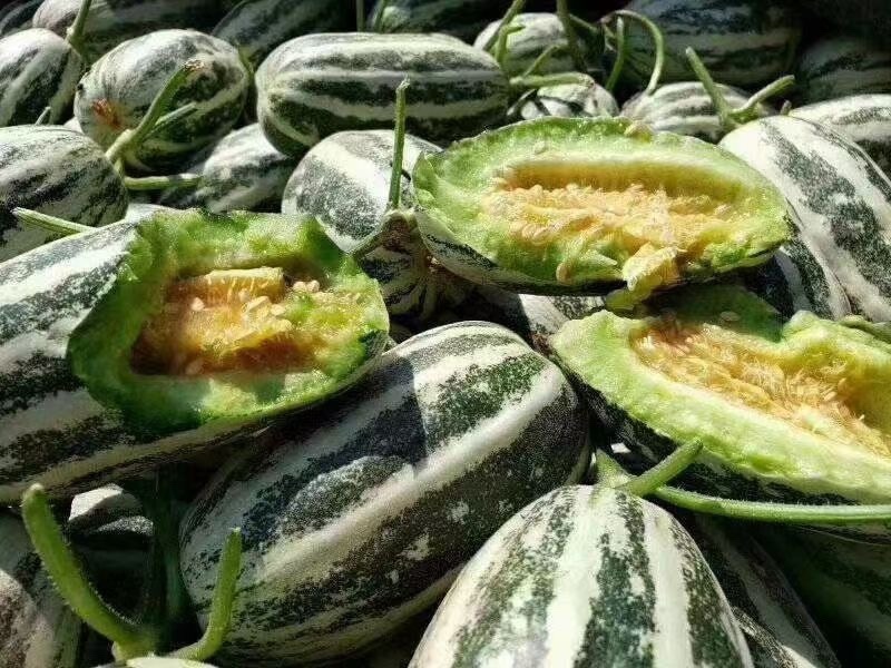 博洋系列619号花蕾绿宝大量有货
