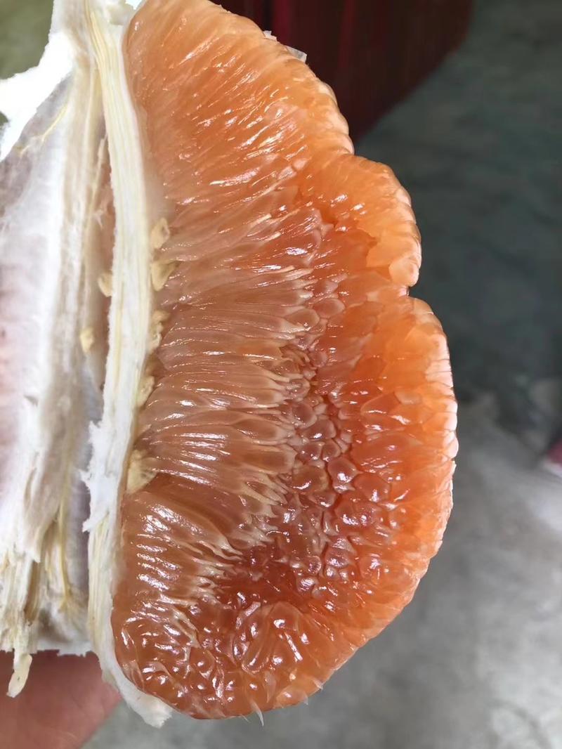 贵州高山红肉蜜柚