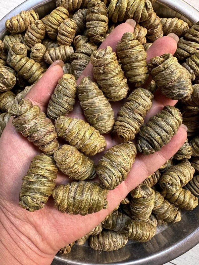 石斛枫斗云南紫皮石斛基地批发一手货源大量现货
