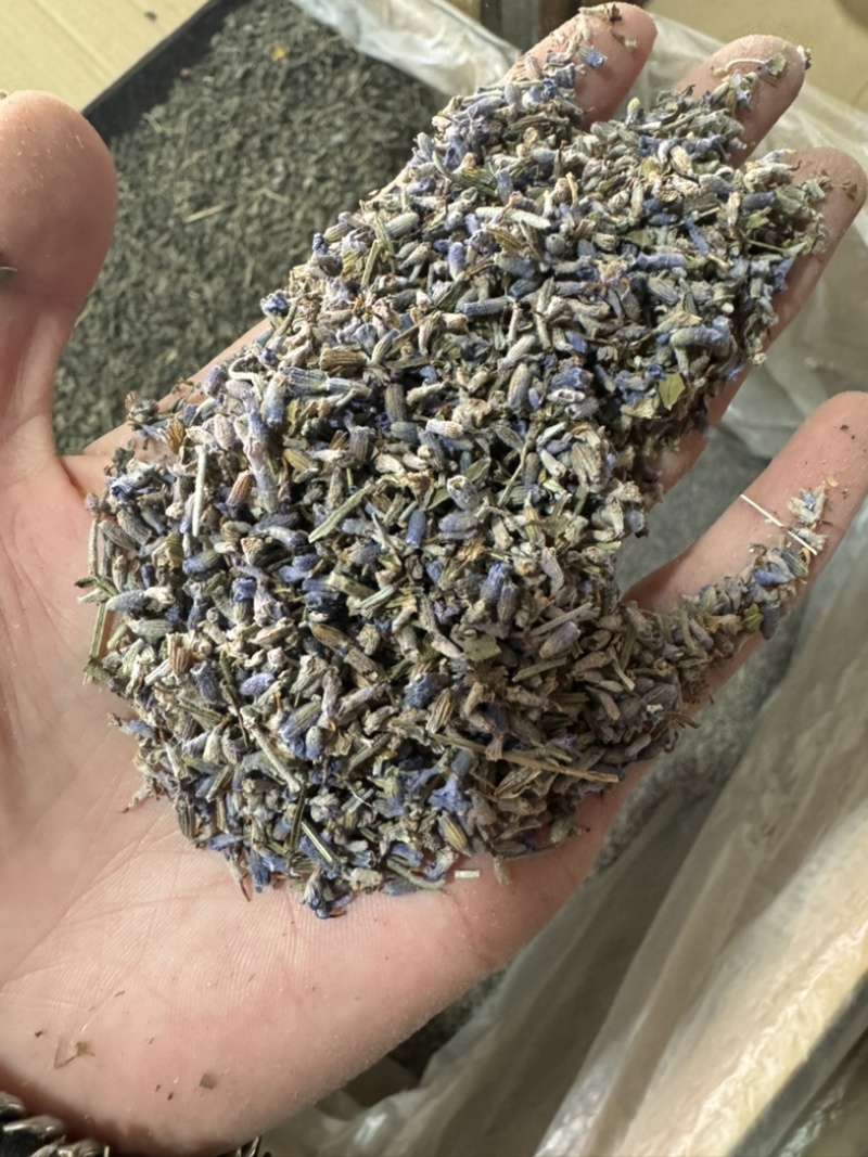 薰衣草保庆药业批发药用薰衣草实物拍摄发货如图薰衣草