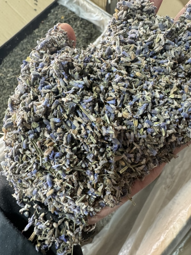 薰衣草保庆药业批发药用薰衣草实物拍摄发货如图薰衣草
