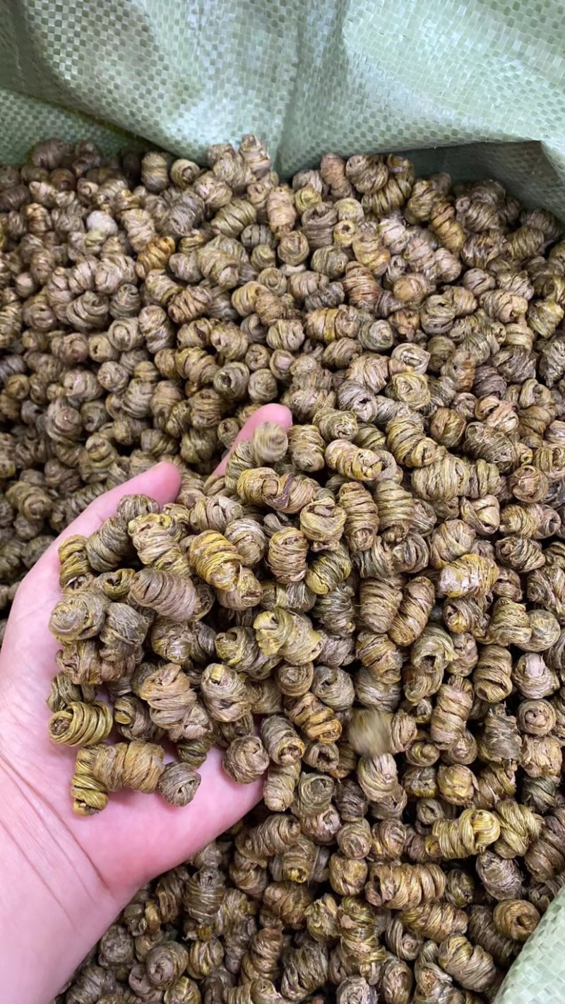 石斛枫斗云南紫皮石斛基地批发一手货源大量现货