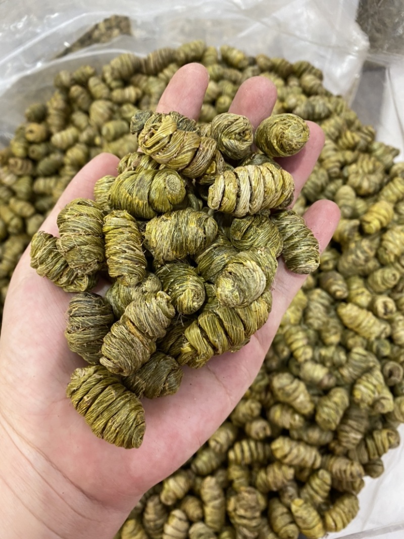 石斛枫斗云南紫皮石斛基地批发一手货源大量现货