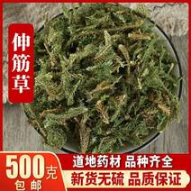 包邮）野生伸筋草中药500（袋装）克正宗伸筋草