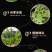 包邮）野生伸筋草中药500（袋装）克正宗伸筋草